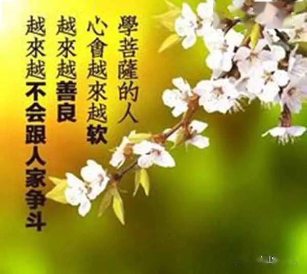 平常心的微信头像 c326e8bef0474e04ad910aca10fec000.jpeg