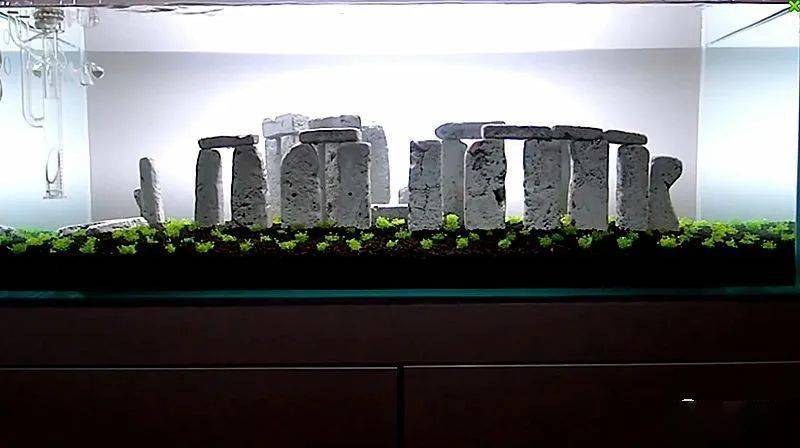 造景发烧友把英国的巨石阵搬到鱼缸里了