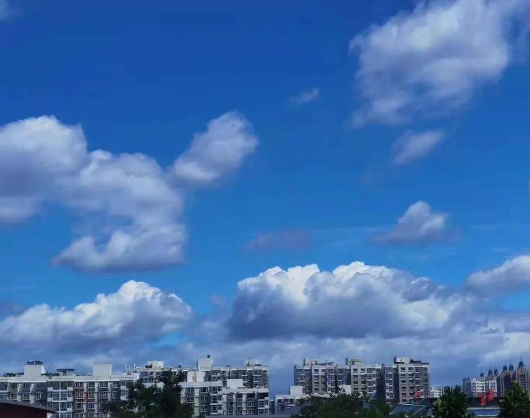 是入伏第一天 石家莊迎入汛以來最強暴雨 今早 雨水暫歇,天空放晴