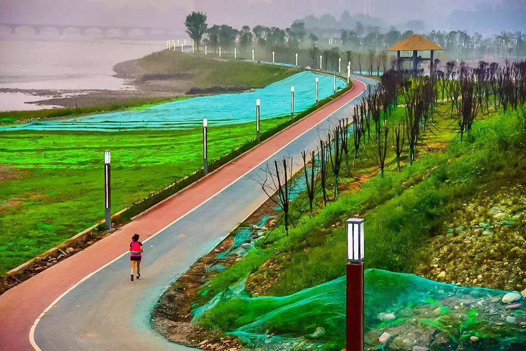 青衣江湿地公园局部开放洪雅城市绿心等你来逛