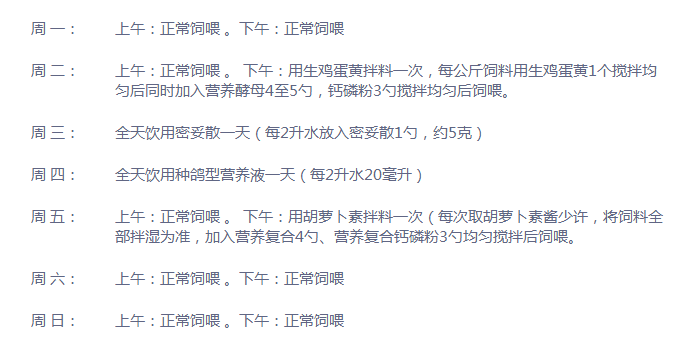 鸽粮配比小秘方