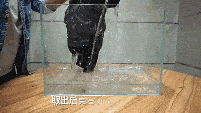 男女|夏天穿腻了T恤？Champion爆款Polo衫，明星人手一件，限时149元！快抢~