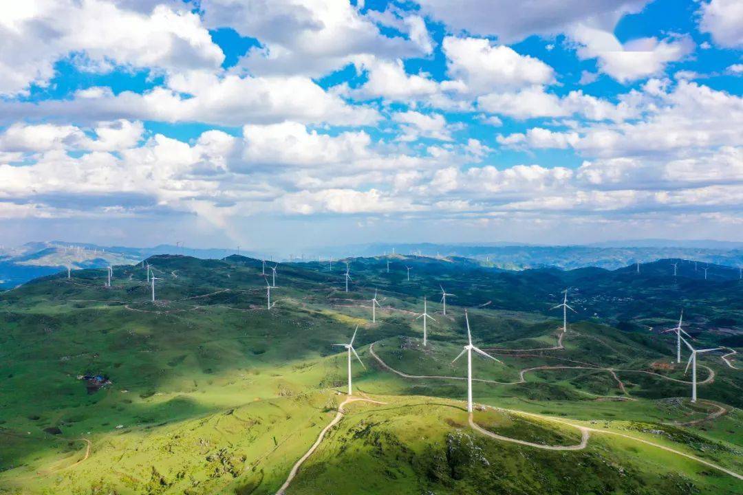 威宁大地添新绿