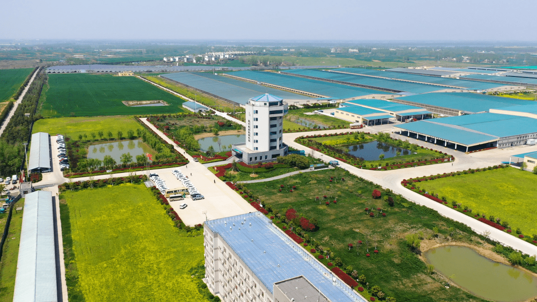 现代牧业蚌埠牧场位于安徽省蚌埠市五河县,占地3500亩,目前奶牛存栏4.