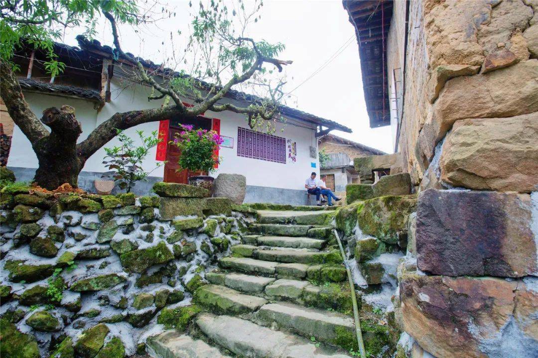 云安镇:打造十里生态画廊 让生活有盐有味