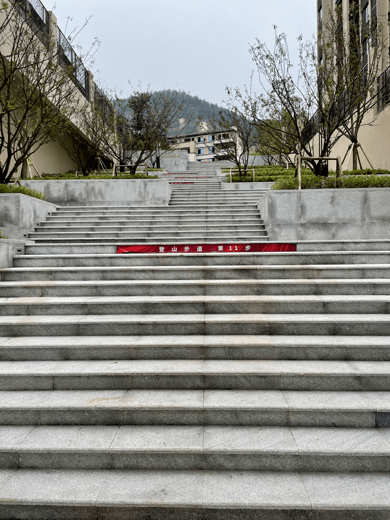 懵了!重庆一小区主入口设计66步台阶,爬完进小区已累瘫