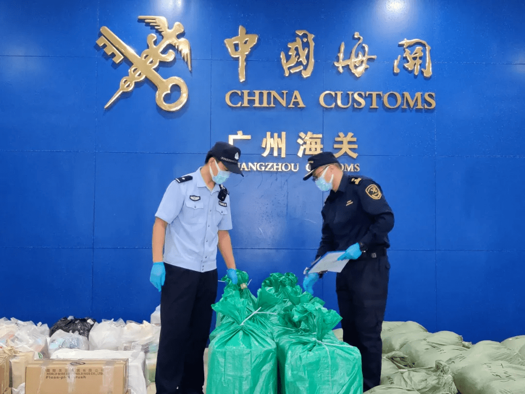 我的天广州海关查获一批人体血液样本部分检出登革病毒和肝炎病毒