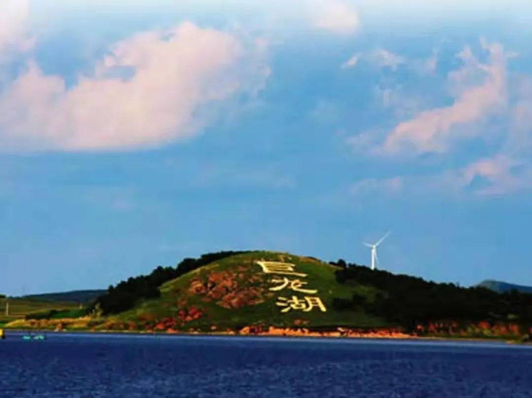 阜新草莓音乐节全攻略来啦