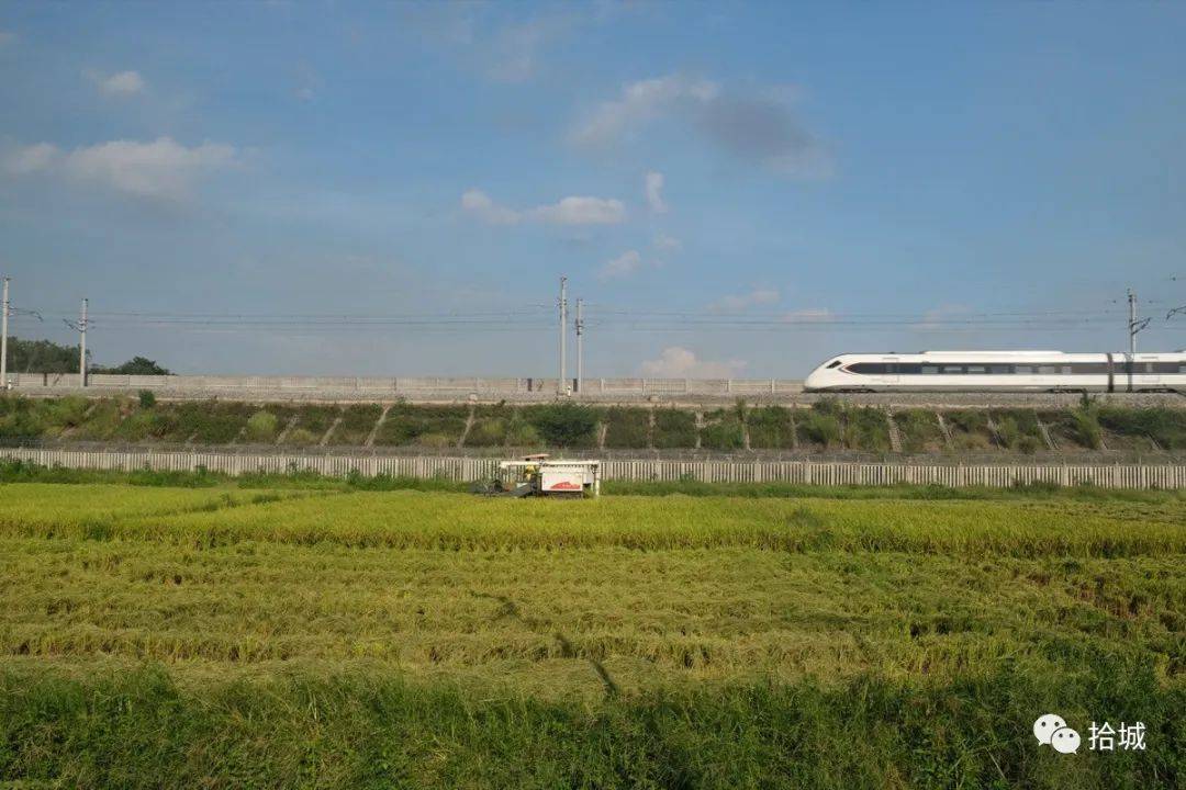 田卫涛|拾城 | “热”烈的夏天