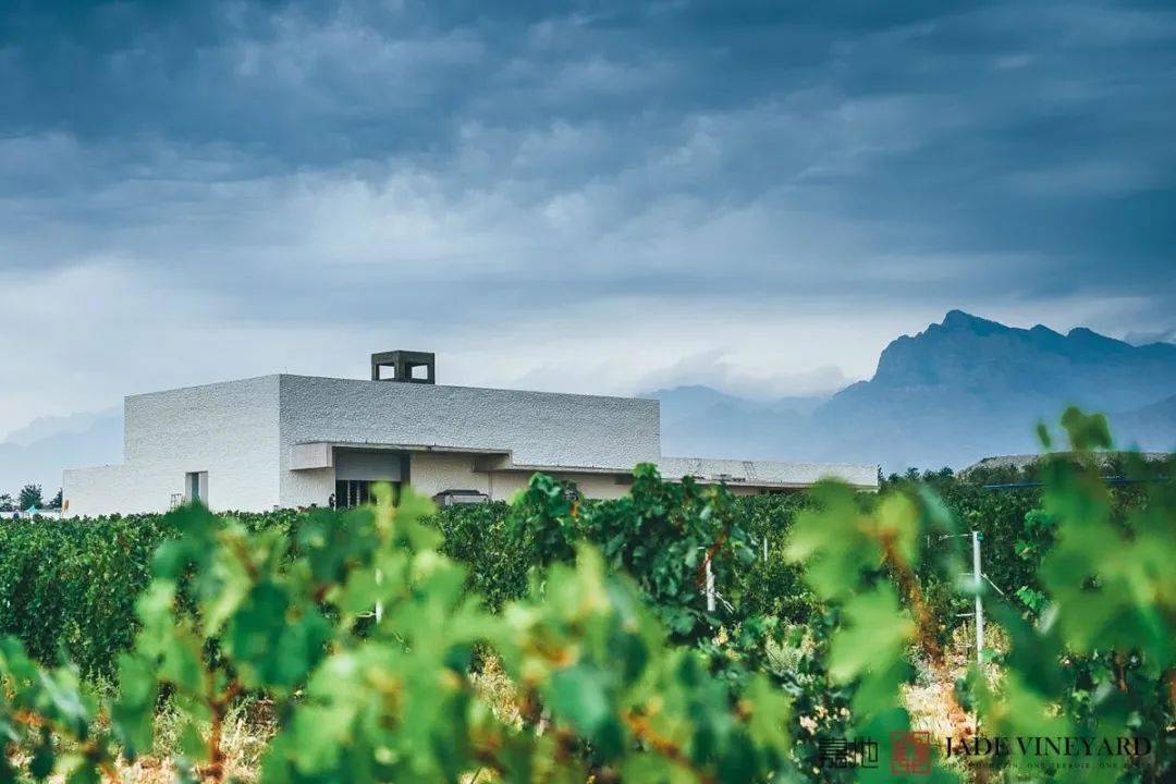 招聘|实不相瞒，这些中国酒庄都缺人！