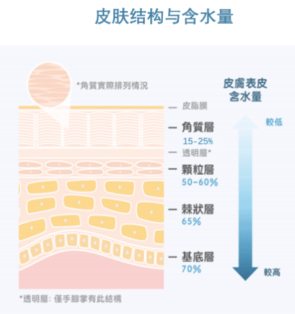 温度|三伏天护肤强攻略！水乳面霜放心用！