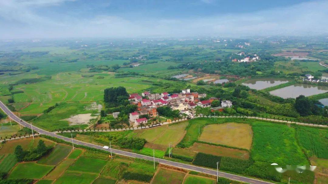 盛桥镇东岳村 盛杰 摄出品:庐江县融媒体中心■ 本周四!