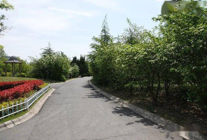 遊覽響水湖公園,體驗蘇北大平原的清涼夏天_響水縣