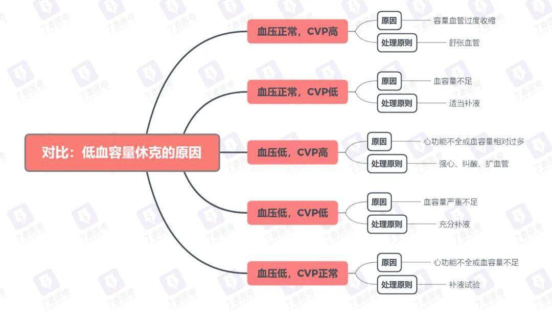 外科休克思维导图图片