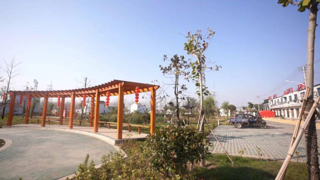 独家专访宝应夏集镇党委书记陆宝华努力打造出更多夏集样板和夏集经验