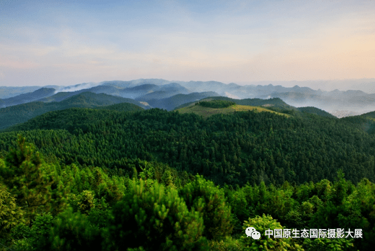 太美了 贵州就是一座巨大的森林公园