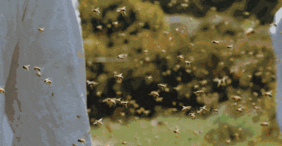 癌症|总是咳嗽、咽喉肿痛、有痰难咳尽？给肺部做个清洁，自由深呼吸！