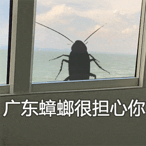 今天是世界表情包日67