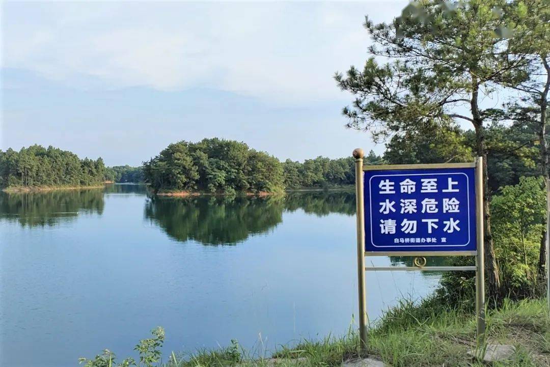 禁止游泳!为了您家人的生命安全,请转告给家人!