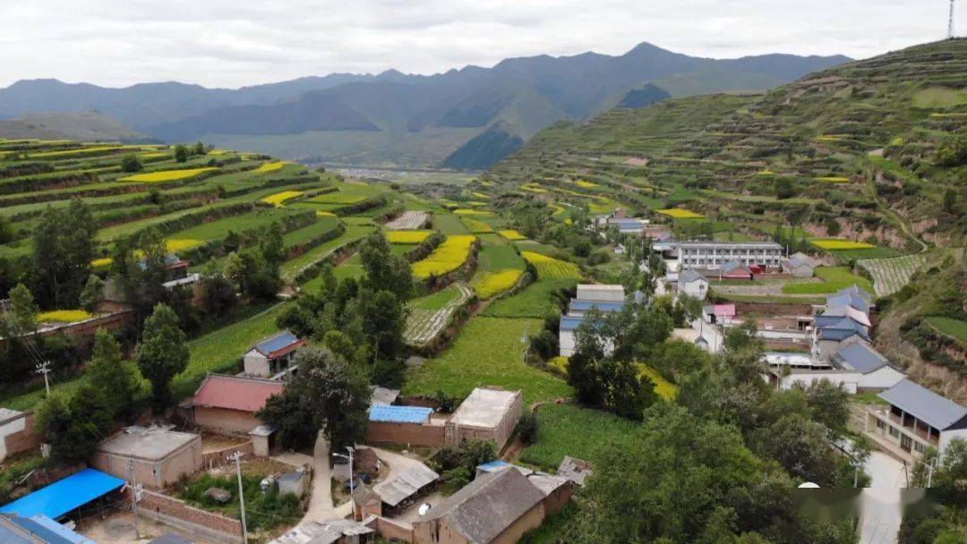岷县西寨镇:花开的时候你就来看我