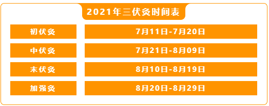 初伏灸倒计时2天,还没灸,赶紧约!