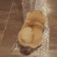 氧化|想要美白抗老两手抓，抗氧化还不搞起来？