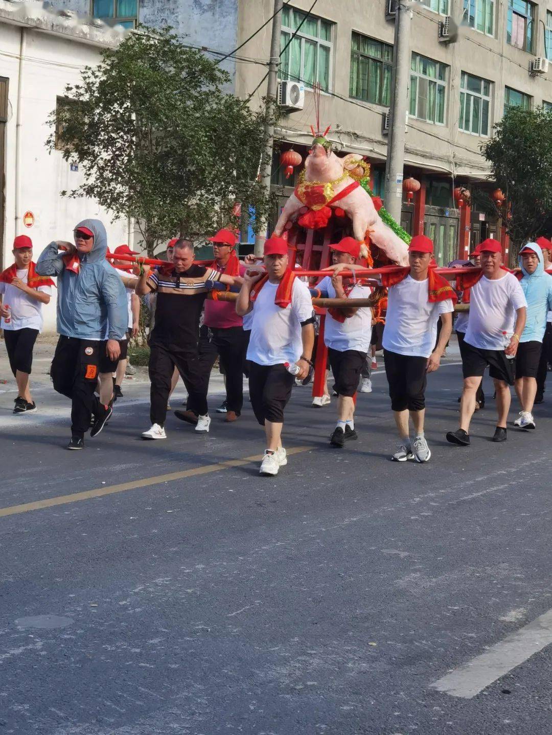 震撼钱库抬大猪来了近2000人