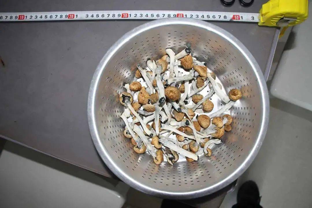 蘑菇干了还会有毒吗 0c7deff4729a40069ccfdcec766de68a.jpeg