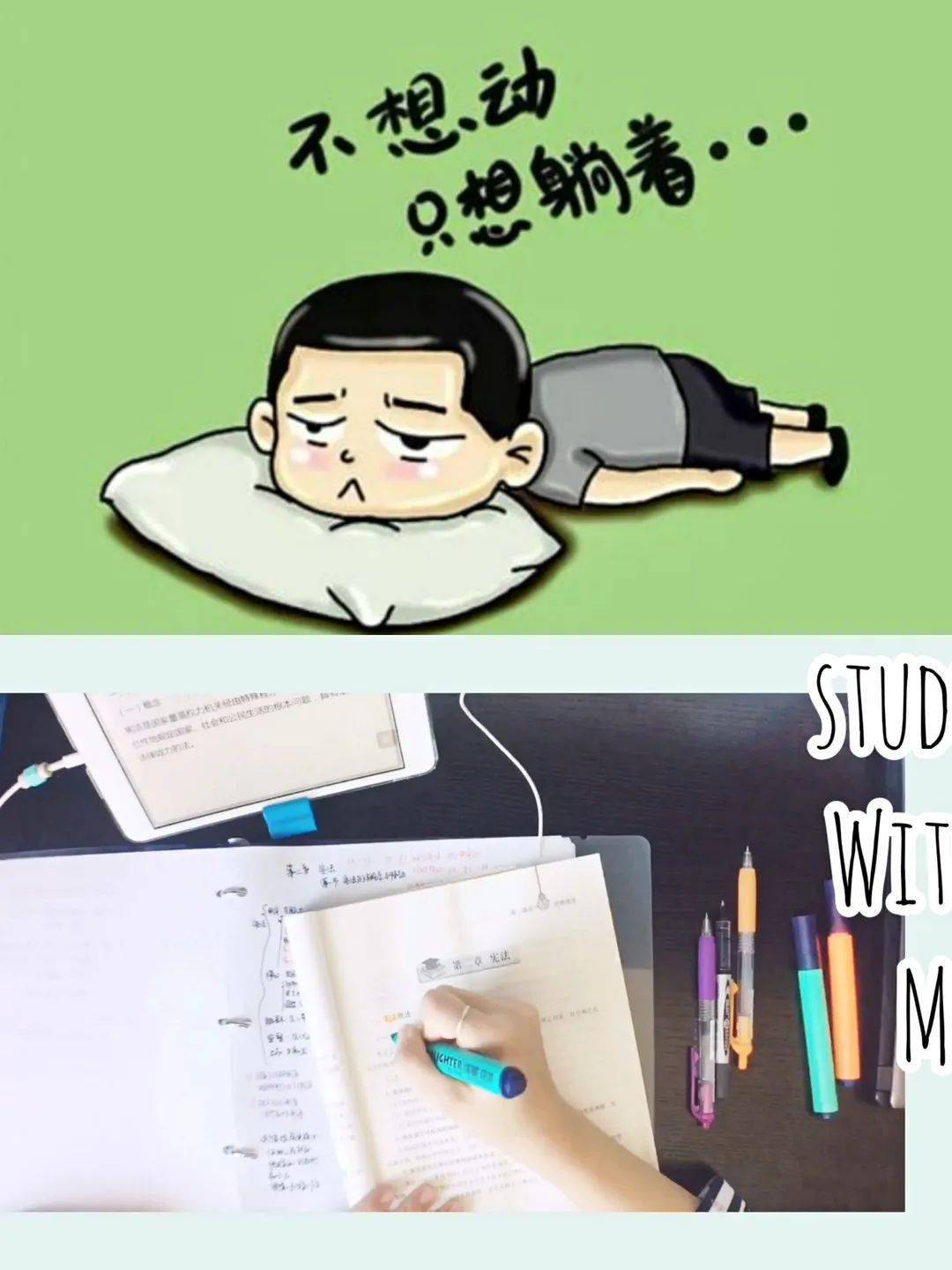 每一步都是脚踏实地按照每日计划遇见更美好的自己打卡学习感受知识的