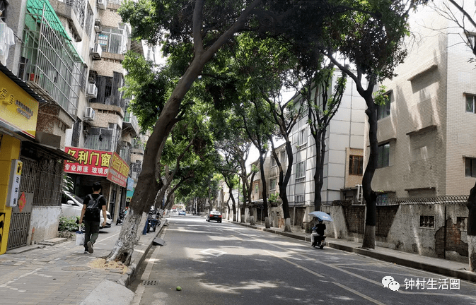 注意啦洛浦街这个路段实施半封闭交通管制绕行这样走