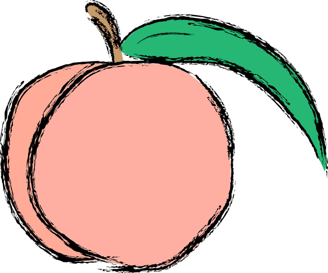 建宁锦绣黄桃99