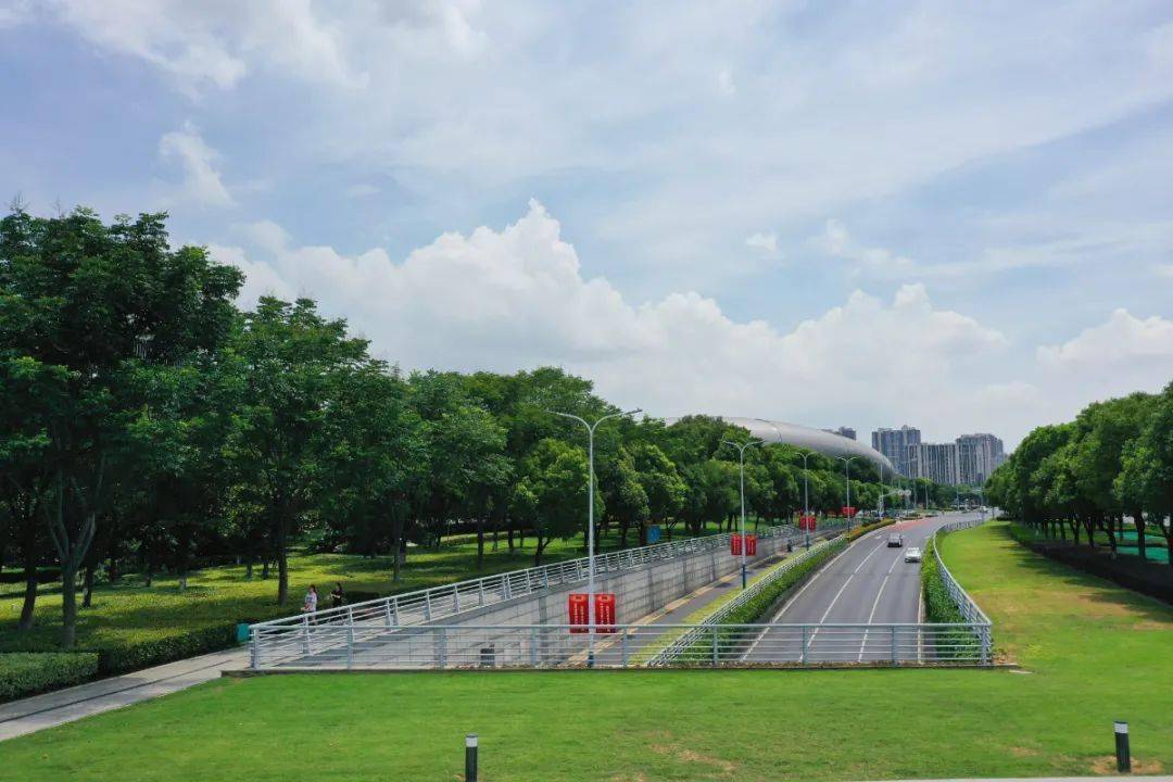 美不胜收@陈早春 摄于龙锦路@杨恺 摄于西太湖摄于西