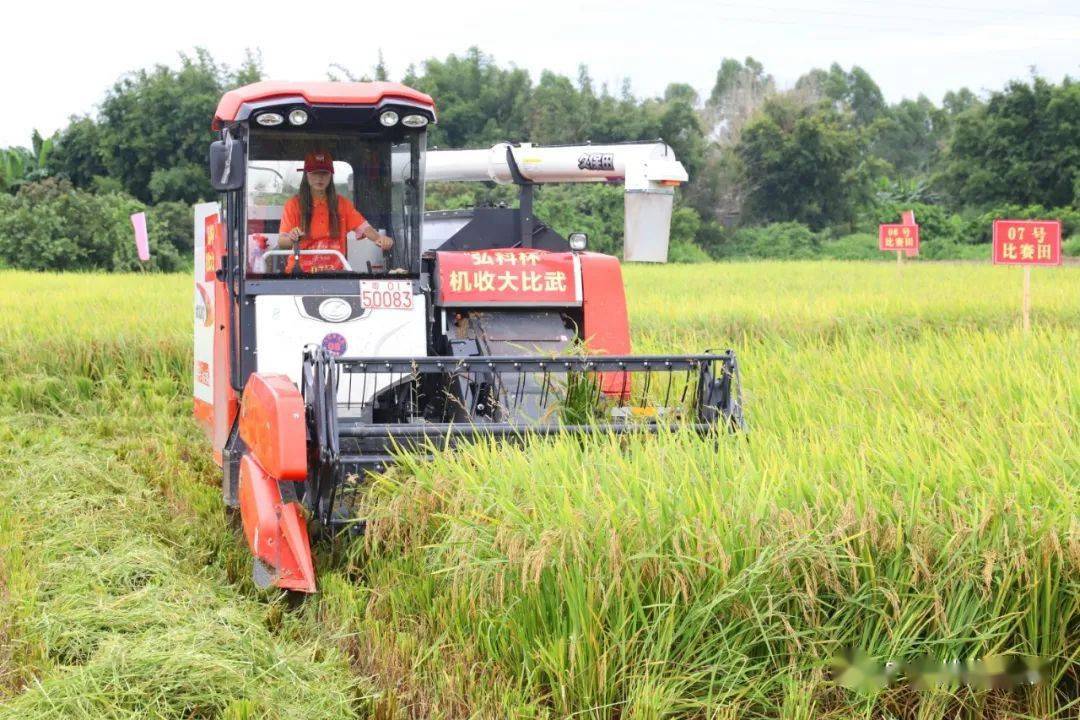 水稻机技能大比武从化这个农机手获得广州赛区一等奖