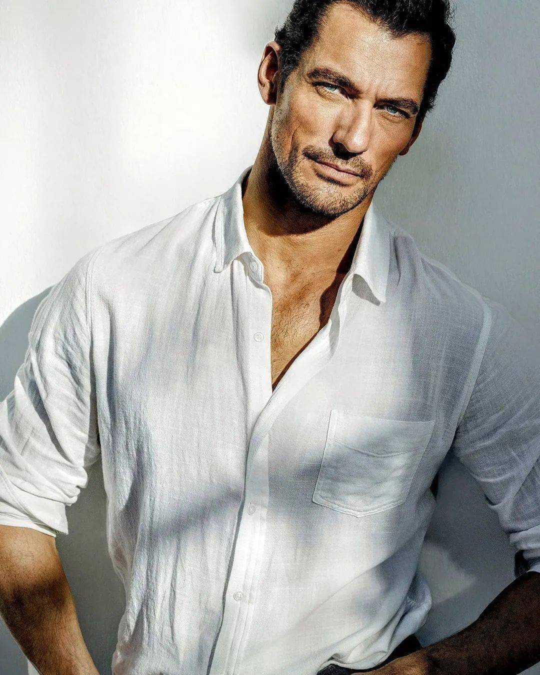 超级男模davidgandy庆祝出道二十年