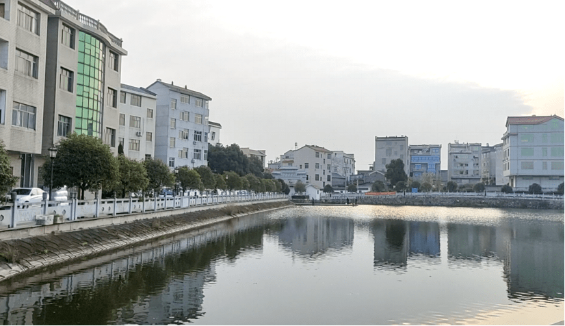 永康村和村的差距原來這麼大._永康市