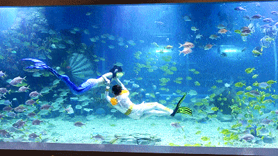 c00f3e40beed40178cc7fbe5d4e269ae.gif
