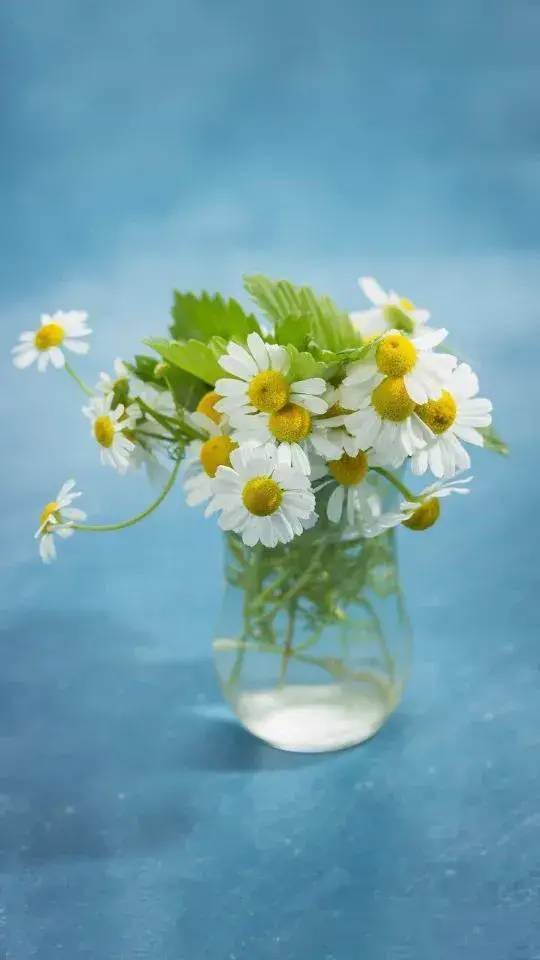 听67有一种修养叫少说