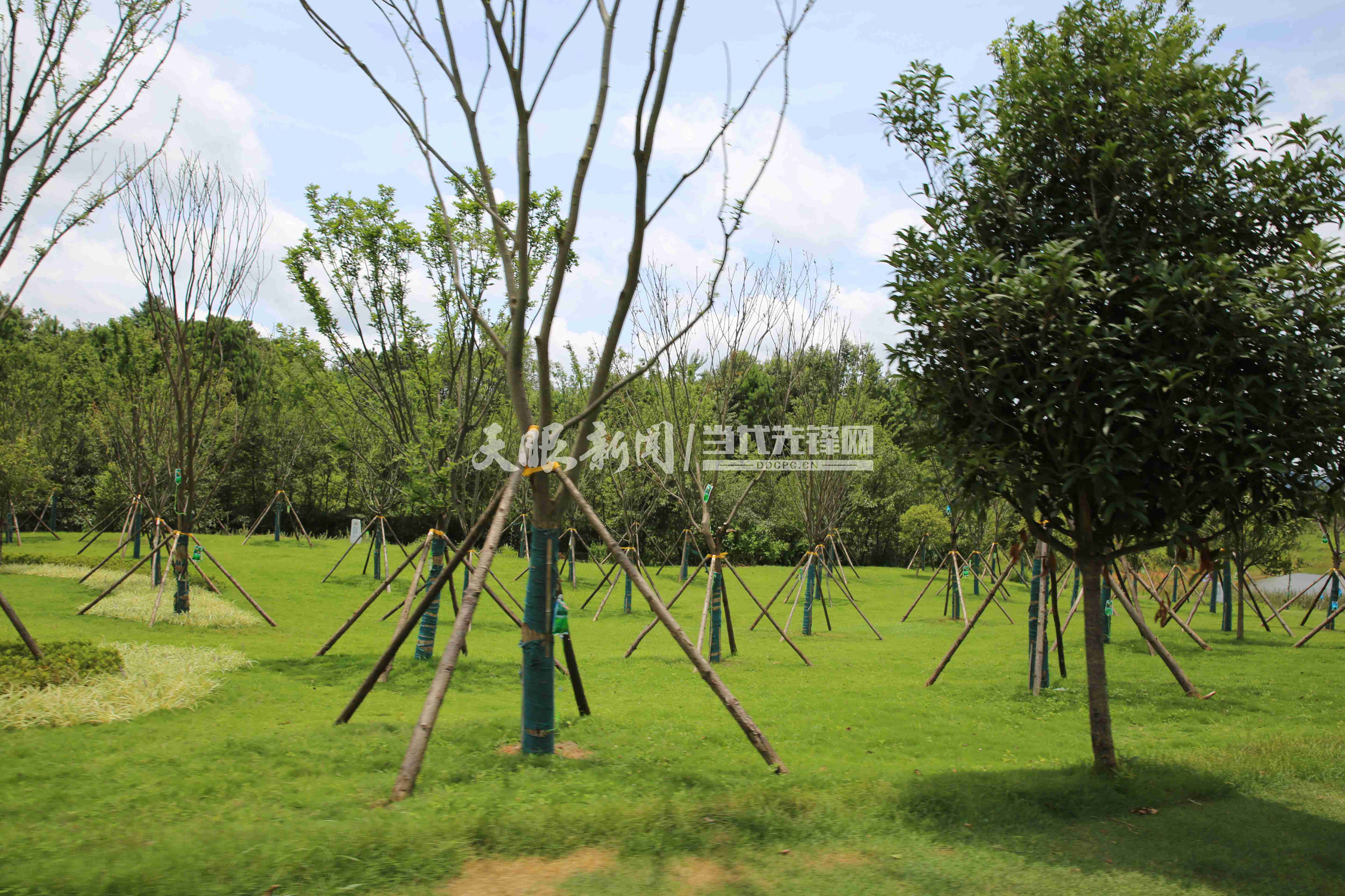 避暑度假到贵州黔西南州云屯生态体育公园来一场清肺康养之旅