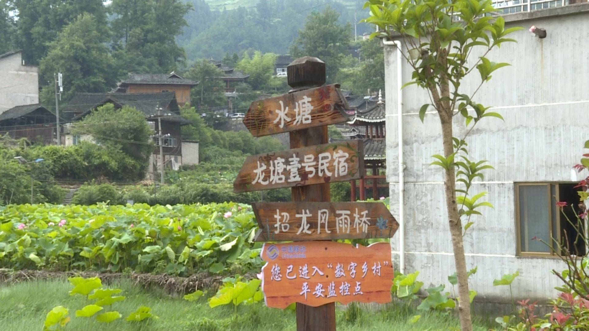 贵州龙塘村图片
