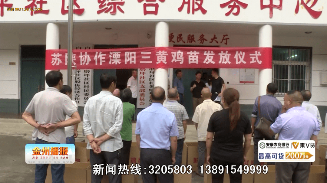 陈新仕科学养鸡带富一方乡亲