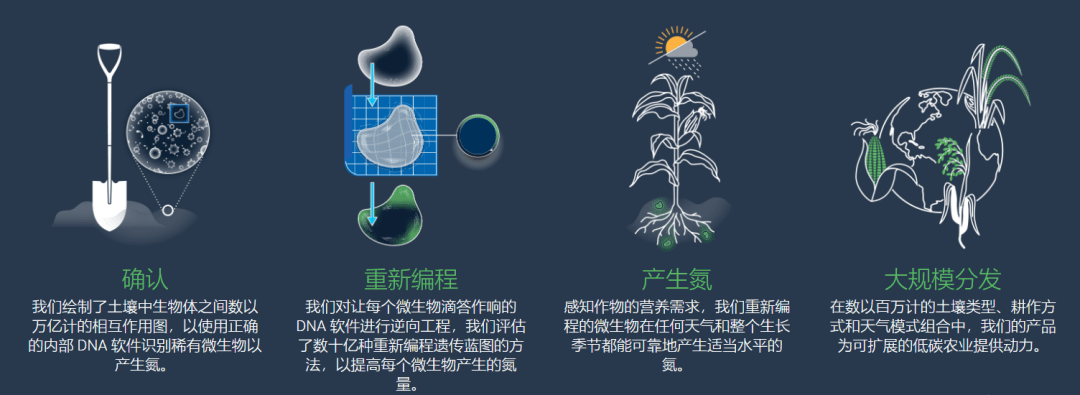 合成生物學初創穫43億美元高額融資欲通過改造固氮微生物取代傳統氮肥