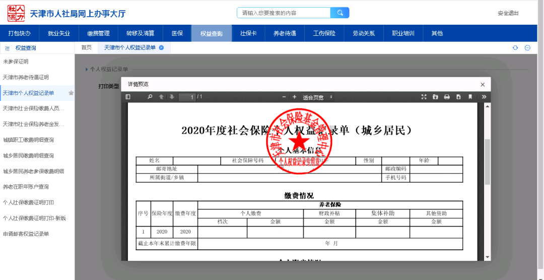 个人权益记录单;缴纳天津市城乡保险的个人用户可打印城乡居民个人