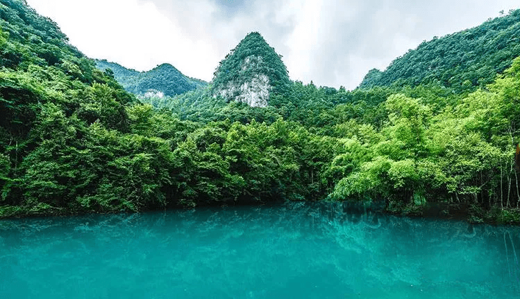 夏天有什么特别的景色 e72c155498bb413391144a2954b9db7f.png