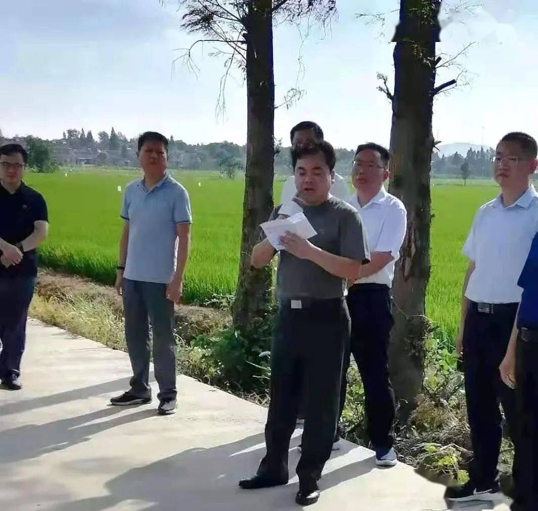 据介绍,槐林镇环湖流域一级保护区涉及槐光,大汪,武山,官塘,湖边,兆河