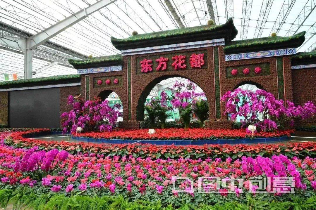 青州 中国北方最大花木集散中心 建设