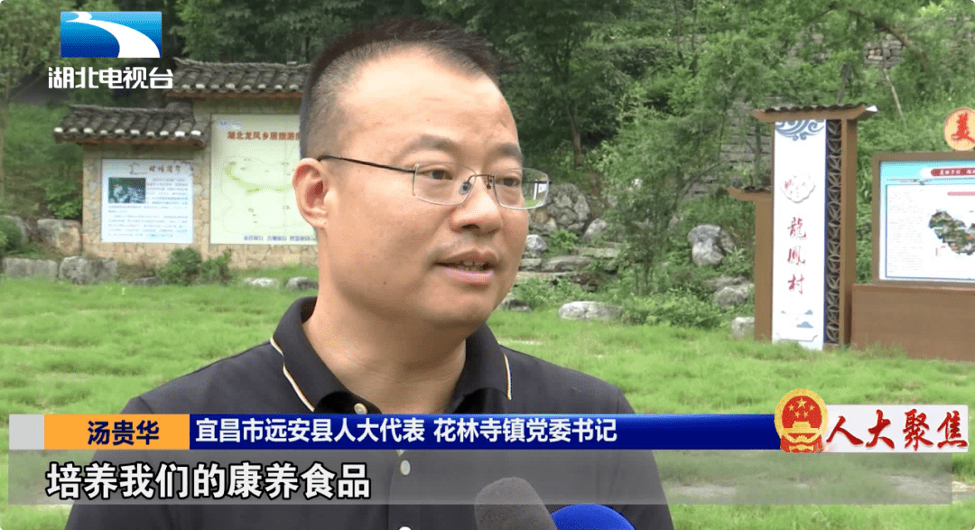 第五十一期电视专题栏目人大聚焦