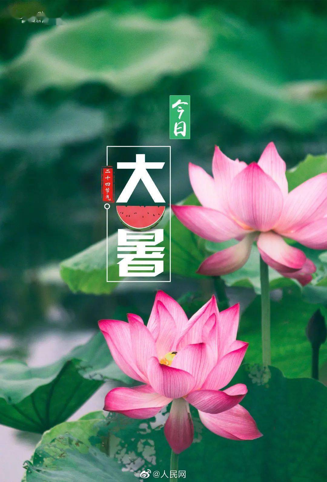 今日大暑