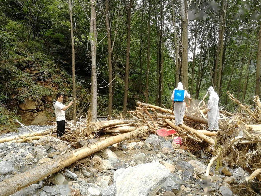 暴雨中，他们蹚积水、报汛情、拍救援......