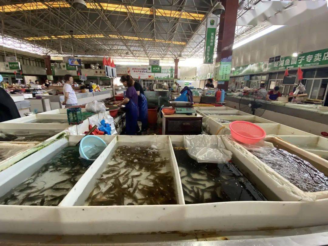 为何今年河虾价格频频上涨