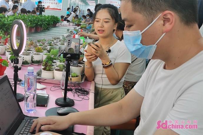 青年|“折翼天使”直播带货带来50万粉丝，菏泽残疾青年毕静静成“网红”